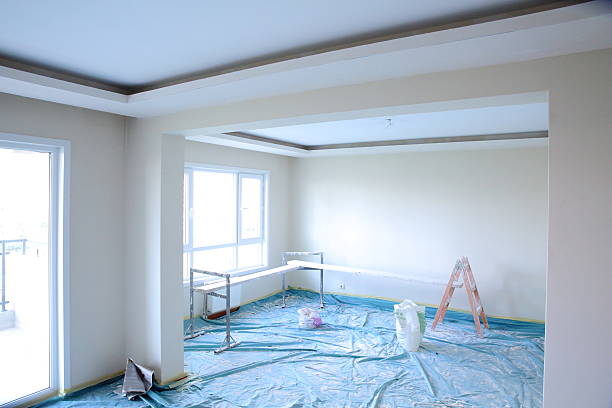 Best Painting for New Construction  in Carrollwood, FL